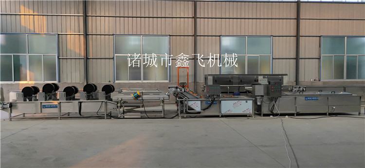 蒸煮漂燙流水線廠家直銷[1000]